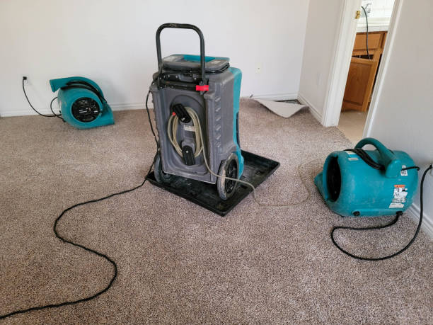 Best Emergency water damage restoration  in Taft Heights, CA