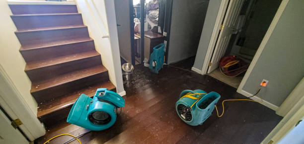 Best Flood damage cleanup  in Taft Heights, CA