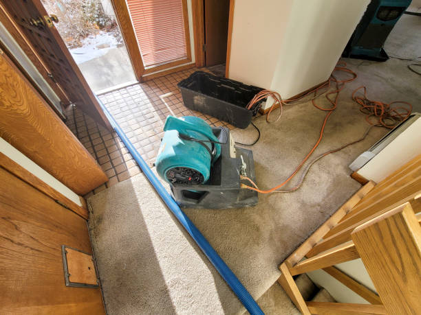 Best Emergency water extraction  in Taft Heights, CA