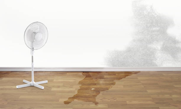 Best Emergency water damage restoration  in Taft Heights, CA