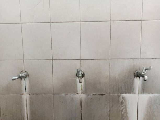 Trusted Taft Heights, CA Water damage restoration Experts
