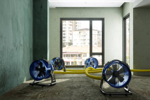 Best Professional water damage repair  in Taft Heights, CA